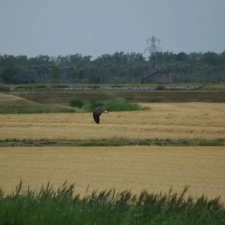 't Steurgat Bed & Breakfast