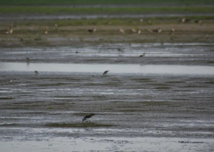 't Steurgat Bed & Breakfast Werkendam