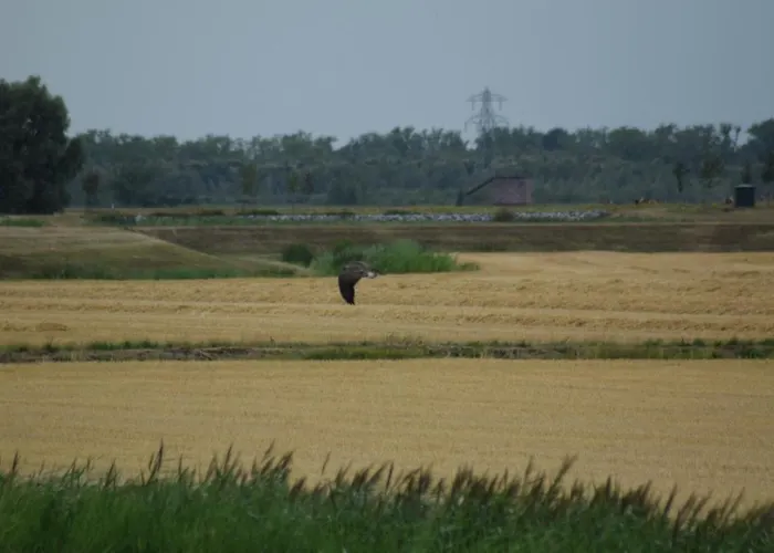 't Steurgat Bed & Breakfast