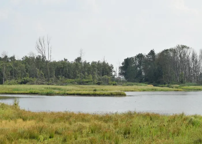 't Steurgat Panzió *