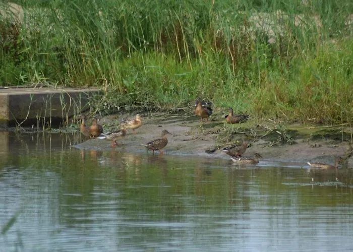 't Steurgat Bed & Breakfast Werkendam