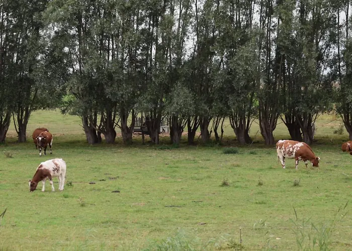 't Steurgat Werkendam