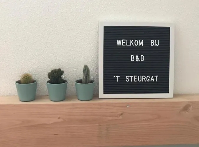 Bed & Breakfast 't Steurgat *