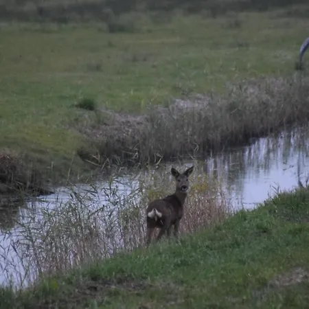 Alojamento de Acomodação e Pequeno-almoço 't Steurgat